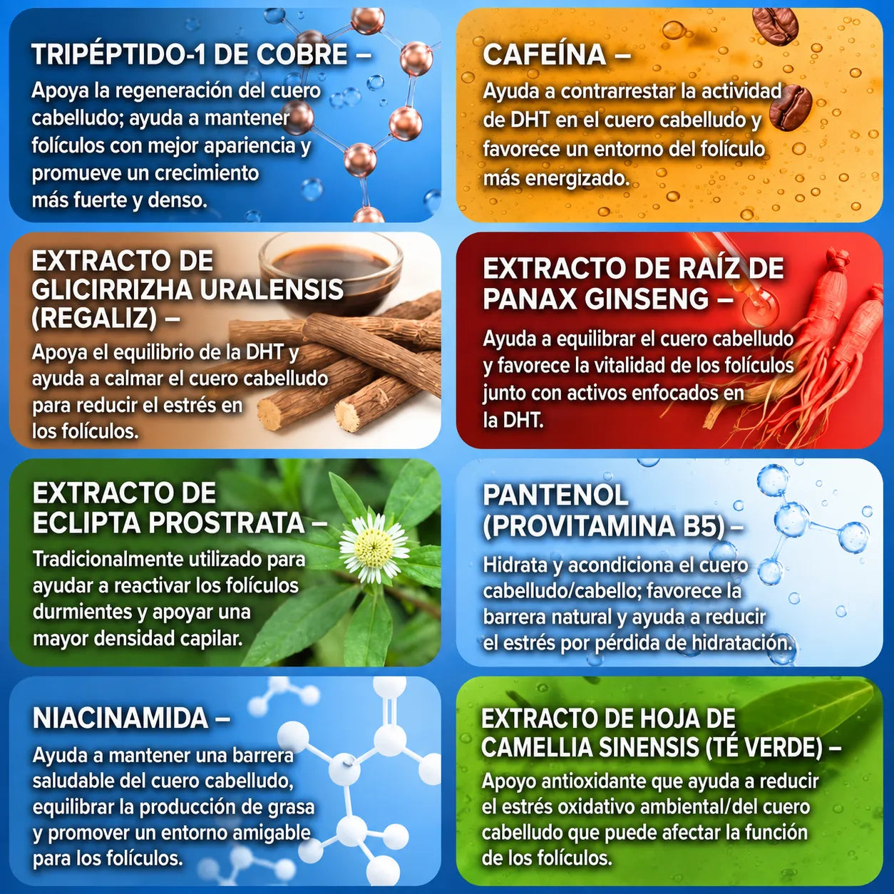 El Sistema de Regeneración Capilar con Infusión de Péptidos Más Potente